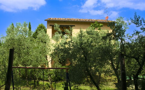 Collina dei Fiori: Baum, Blatt, Vegetation, Strauch, Grundstueck, Zuhause, Ländliches Gebiet, Frühling, Hütte, Garten