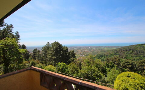 Villa La Collinetta: Wolke, Himmel, Eigentum, Natur, Blatt, Holz, Die Architektur, Baum, Vegetation, Morgen