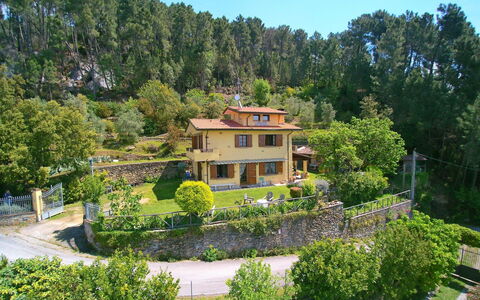 Villa La Collinetta: Pflanze, Himmel, Gebäude, Natur, Natürliche Landschaft, Baum, Gras, Landschaft, Urban Design, Strauch