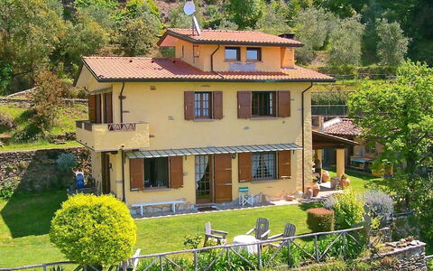 Villa La Collinetta: Pflanze, Fenster, Eigentum, Gebäude, Grün, Baum, Haus, Gelb, Vegetation, Hütte