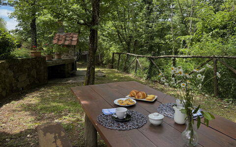 Anfora!!: Holz, Kofferraum, Frühling, Wald, Garten, Schatten, Sonnenlicht, Hütte, Wald, Tisch Im Freien