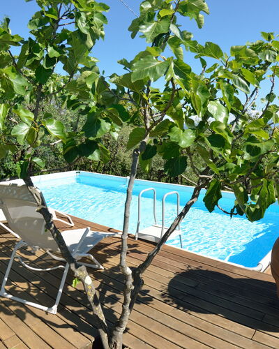 Bettina!: Eigentum, Baum, Pflanze, Grundeigentum, Freizeit, Urlaub, Haus, Schwimmbad, Blume, Estate