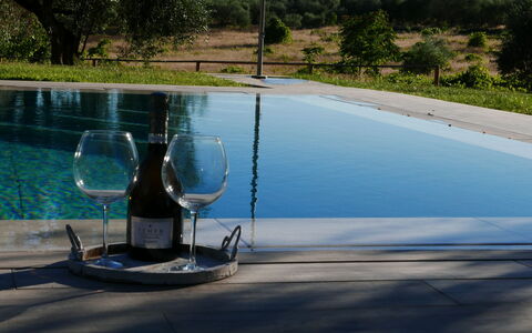 Agriturismo La Pieve: Wasser, Schwimmbad, Baum, Freizeit, Urlaub, Water Feature, Landschaft, Pflanze, Glas, Haus