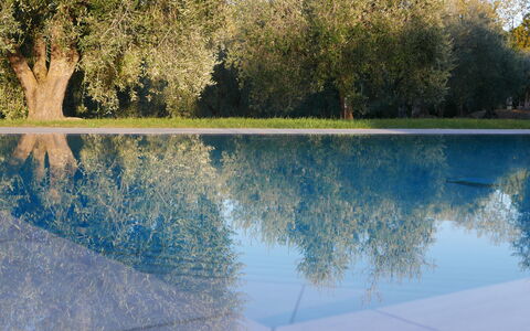 Agriturismo La Pieve: Reflexion, Wasser, Natur, Natürliche Landschaft, Blau, Baum, Wasservorräte, Himmel, See, Reflecting Pool