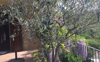 Casa Alla Minuccia Di Villa a Sesta