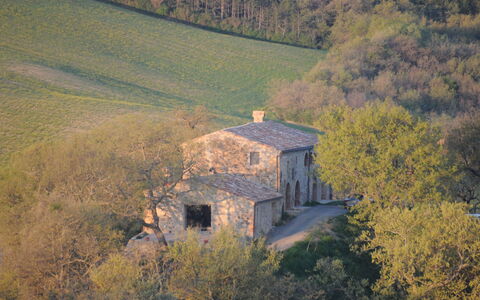Podere Palazzo: Ländliches Gebiet, Hügel, Baum, Himmel, Luftaufnahmen, Fotografie, Die Architektur, Landschaft, Haus, Gebäude