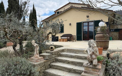 Villa Eleonora: Blumentopf, Flagstone, Garten, Schatten, Landscaping, Zimmerpflanze, Hazienda, Auffahrt, Garten