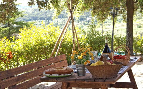 Villa Gelsomino: Tabelle, Möbel, Hinterhof, Picknick, Zimmer, Baum, Landschaft, Tisch Im Freien, Gartenmöbel, Mahlzeit