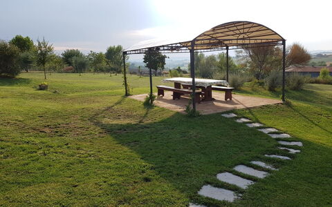Villa Anita: Gras, Grundstueck, Wiese, Ländliches Gebiet, Rasen, Bauernhof, Garten, Hinterhof, Garten, Schatten