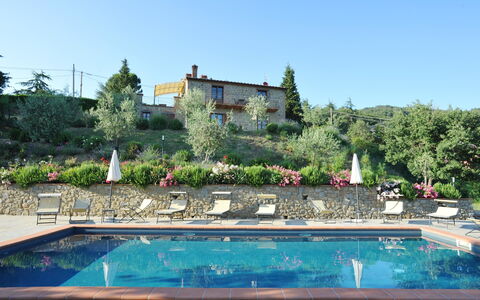 Villa Rubino: Schwimmbad, Eigentum, Grundeigentum, Gebäude, Wasser, Haus, Botanik, Urlaub, Estate, Baum
