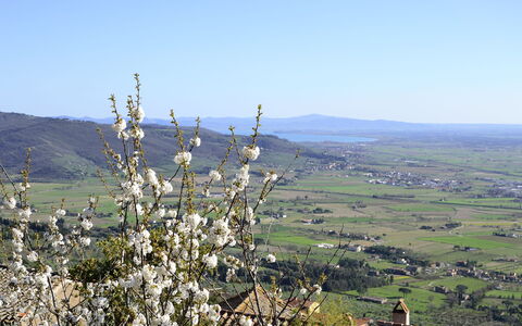 Appartamento Il Teatro: Chaparral, Hügel, Baum, Pflanze, Ist Hingefallen, Berg, Pflanzengemeinschaft, Landschaft, Wild, Blume