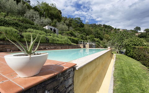 Villa Del Sole: Eigentum, Grundeigentum, Schwimmbad, Haus, Urlaub, Baum, Villa, Gebäude, Estate, Hinterhof