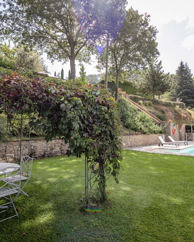 Villa Ginestra: Eigentum, Natur, Gras, Grün, Haus, Schwimmbad, Grundeigentum, Estate, Hinterhof, Rasen