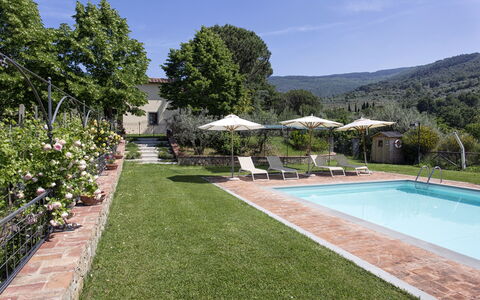 Villa San Pietro: Eigentum, Schwimmbad, Grundeigentum, Gras, Haus, Hinterhof, Zuhause, Rasen, Garten, Estate