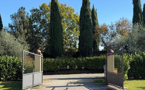 Villa Mira: Strauch, Garten, Schatten, Landscaping, Immergrün, Hecke, Park, Zaun