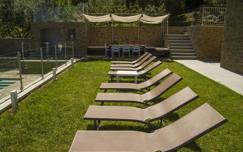 Villa Degli Ulivi: Gras, Rasen, Garten, Die Architektur, Botanik, Hinterhof, Garten, Haus, Design, Landscaping