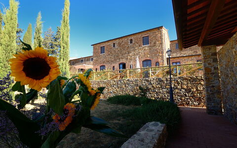 Borgo Casa Di Lappi: Sonnenblume, Blume, Blau, Sonnenblume, Gelb, Himmel, Pflanze, Die Architektur, Gebäude, Landschaft