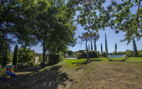 Villa Del Monte: Baum, Gras, Grundstueck, Gehölz, Fotografie, Strasse, Grundeigentum, Landschaft, Pflanze, Ländliches Gebiet