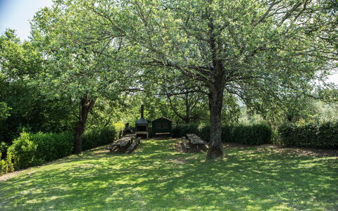 Agriturismo la Papessa: Pflanze, Grün, Blatt, Ast, Natürliche Landschaft, Himmel, Baum, Vegetation, Grundstueck, Schatten