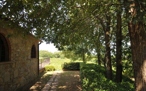 Agriturismo la Papessa: Pflanze, Fenster, Blatt, Baum, Natürliche Landschaft, Strassenbelag, Schatten, Sonnenlicht, Vegetation, Gras