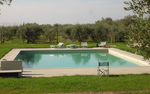Agriturismo la Papessa: Wasser, Pflanze, Eigentum, Schwimmbad, Himmel, Rechteck, Schatten, Gras, Grundstueck, Freizeit