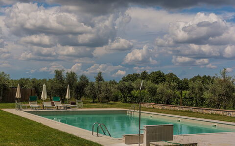Agriturismo la Papessa: Wasser, Wolke, Himmel, Pflanze, Baum, Azurblau, Schwimmbad, Natürliche Landschaft, Grundstueck, Schatten