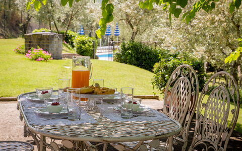 Villa Le Capanne: Grün, Gelb, Tabelle, Möbel, Hinterhof, Stuhl, Garten, Baum, Restaurant, Pflanze