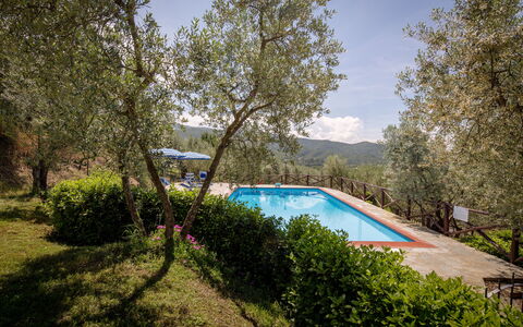 Villa Le Capanne: Eigentum, Schwimmbad, Grundeigentum, Haus, Baum, Die Architektur, Estate, Wohngebiet, Zuhause, Gebäude