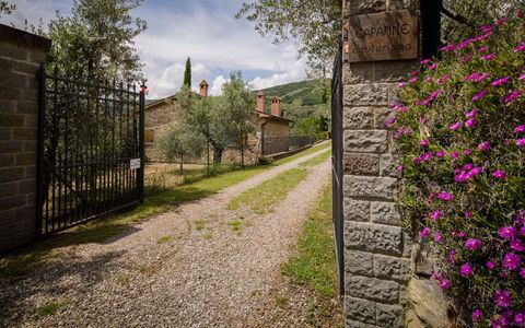 Villa Le Capanne: Vegetation, Blume, Frühling, Wand, Baum, Gras, Pflanze, Strauch, Haus, Botanik