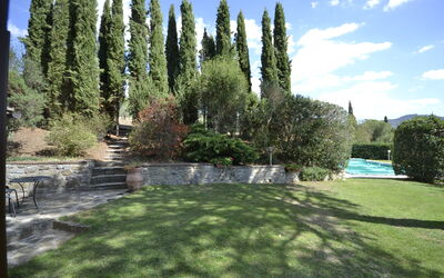 Garden and outdoor view