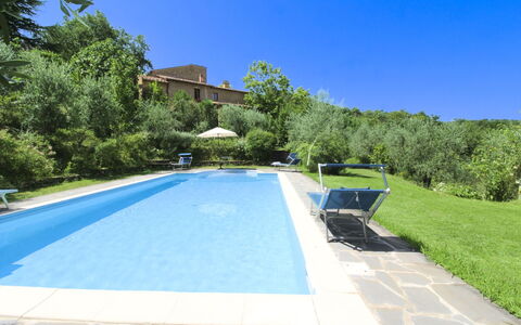 Villa Gioiosa: Schwimmbad, Resort, Eco Hotel, Gartenmöbel, Estate, Hazienda, Villa, Hinterhof, Schatten, Garten