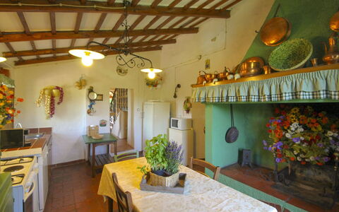 Villa Gioiosa: Möbel, Tabelle, Interior Design, Stuhl, Küche & Esszimmer Tisch, Zimmer, Decke, Holzbeize, Zimmerpflanze, Esszimmer