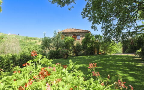 Villa Gioiosa: Grün, Strauch, Sommer, Haus, Ländliches Gebiet, Wiese, Grundstueck, Garten, Wiese