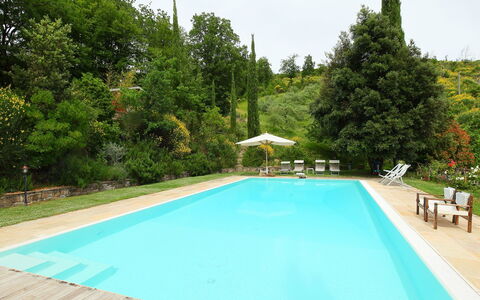 Paradiso: Schwimmbad, Eigentum, Freizeit, Grundeigentum, Haus, Urlaub, Gras, Baum, Estate, Resort