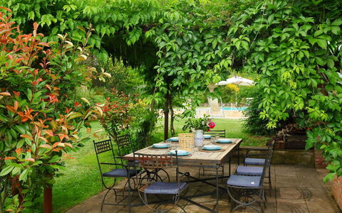 Paradiso: Garten, Baum, Terrasse, Hinterhof, Garten, Pflanze, Botanik, Tabelle, Strauch, Möbel