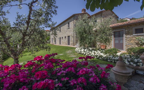 Villa Il Sasso: Eigentum, Haus, Zuhause, Blume, Grundeigentum, Gebäude, Pflanze, Frühling, Botanik, Garten