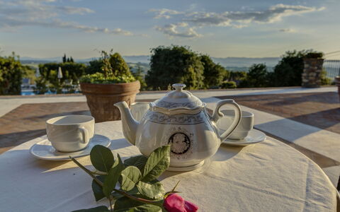 Villa Di Cinzia: Teekanne, Geschirr, Baum, Urlaub, Zimmer, Tabelle, Haus, Pflanze, Fotografie, Drinkware