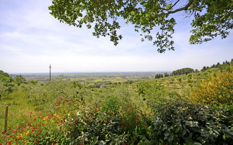 Villa Il Palazzone: Natürliche Landschaft, Natur, Vegetation, Natürlichen Umgebung, Himmel, Baum, Naturschutzgebiet, Blatt, Wiese, Feld