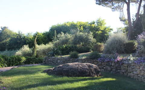 Gli Appartamenti Di Manuela: Gras, Blatt, Vegetation, Strauch, Garten, \Fels, Pflanzengemeinschaft, Landschaft, Ground
