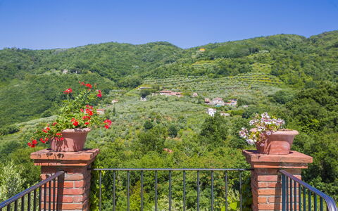 Villa Roncovisi: Vegetation, Eigentum, Baum, Naturschutzgebiet, Blatt, Botanik, Garten, Hügel, Grundeigentum, Haus