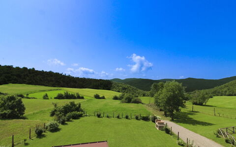 Poggio del Fabbro: Bergforms, Gras, Grün, Natur, Natürliche Landschaft, Hügel, Wiese, Berg, Hochland, Landschaft