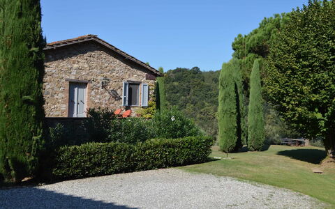 Compignano Barn: Eigentum, Haus, Zuhause, Baum, Gras, Strauch, Gebäude, Grundeigentum, Garten, Hecke