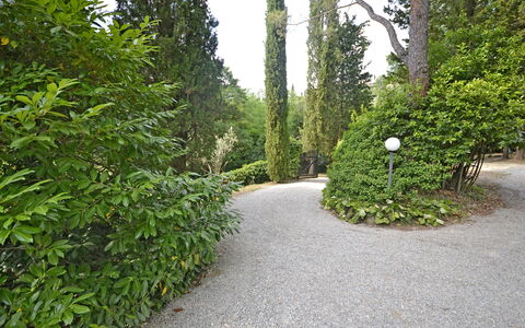 Villa Del Castagno: Vegetation, Baum, Strauch, Natürlichen Umgebung, Blatt, Natürliche Landschaft, Naturschutzgebiet, Pflanze, Biome, Walkway