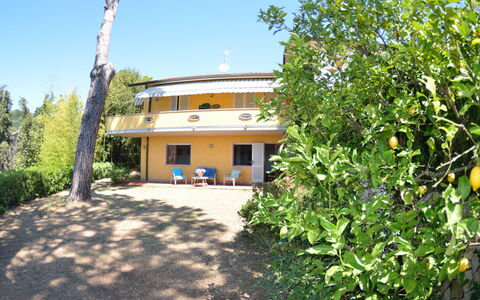 Il Corbezzolo: Eigentum, Haus, Grundeigentum, Gebäude, Zuhause, Hütte, Baum, Villa, Estate, Grundstueck