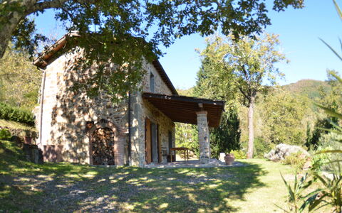 Vignoli