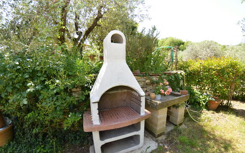 Petra: Garten, Haus, Garten, Pflanze, Hinterhof