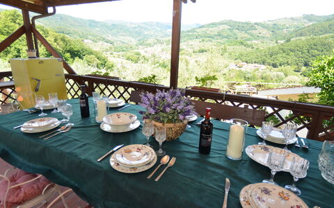 Petra: Restaurant, Tabelle, Resort, Zimmer, Mahlzeit, Tischdecke, Möbel, Freizeit, Interior Design, Frühstück