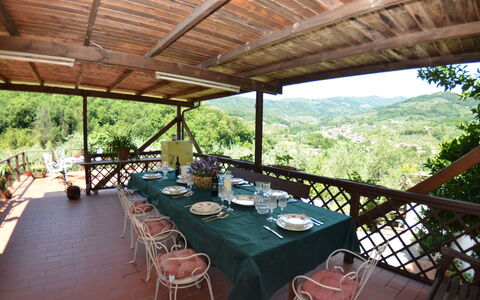 Petra: Eigentum, Restaurant, Grundeigentum, Resort, Gebäude, Zimmer, Veranda, Baum, Haus, Tabelle
