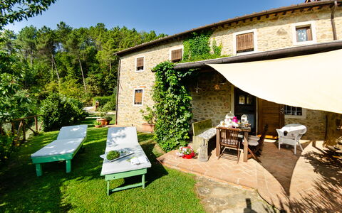 Podere L'istrice: Eigentum, Haus, Gebäude, Hinterhof, Garten, Zuhause, Grundeigentum, Die Architektur, Zimmer, Gras