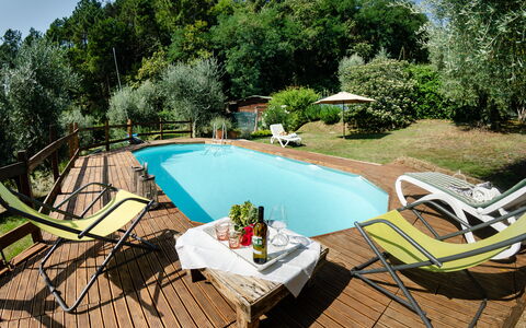 Podere L'istrice: Schwimmbad, Eigentum, Freizeit, Hinterhof, Grundeigentum, Haus, Urlaub, Resort, Zuhause, Sonnenliege